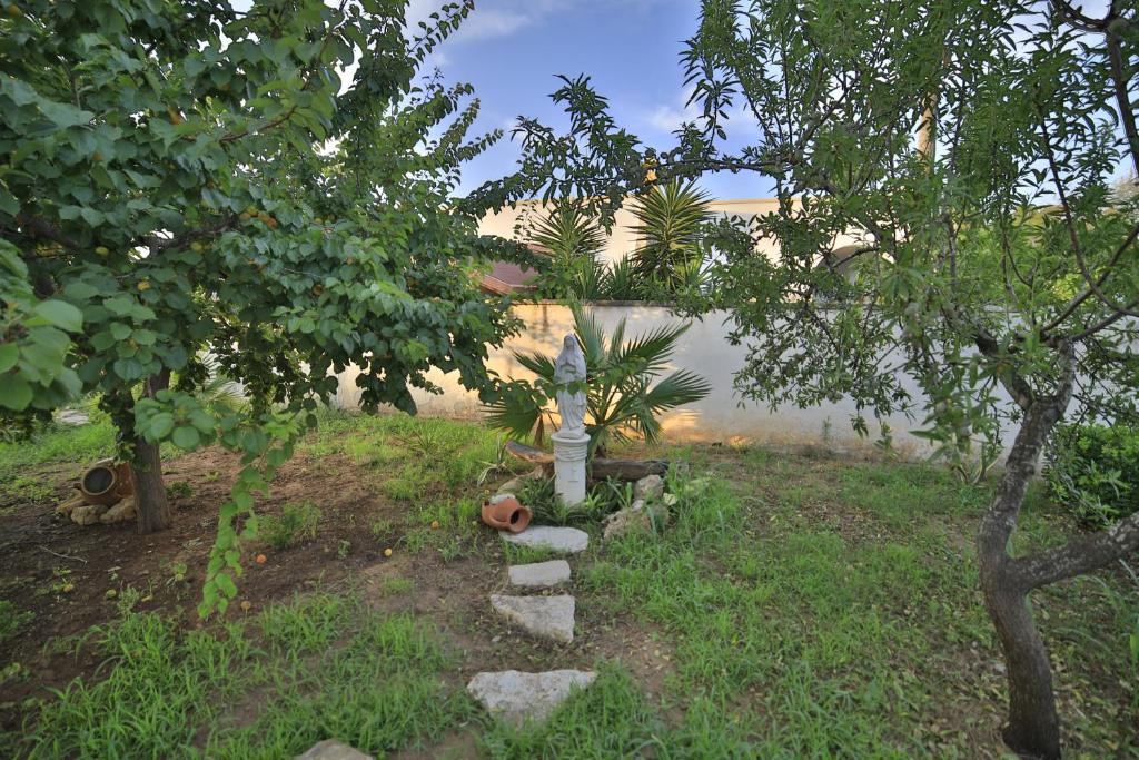 Villa Musella B&B - 4