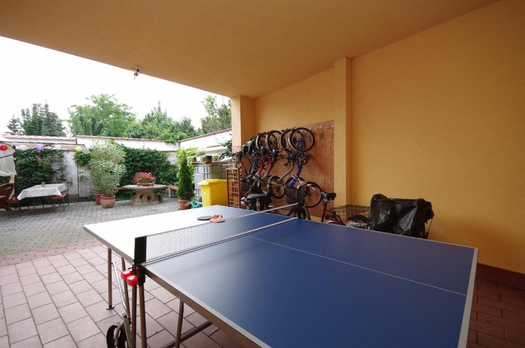 Sport és szabadidő
