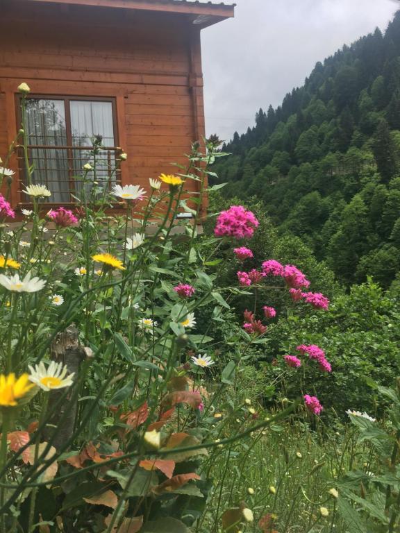 Ayder Dag Evi photo