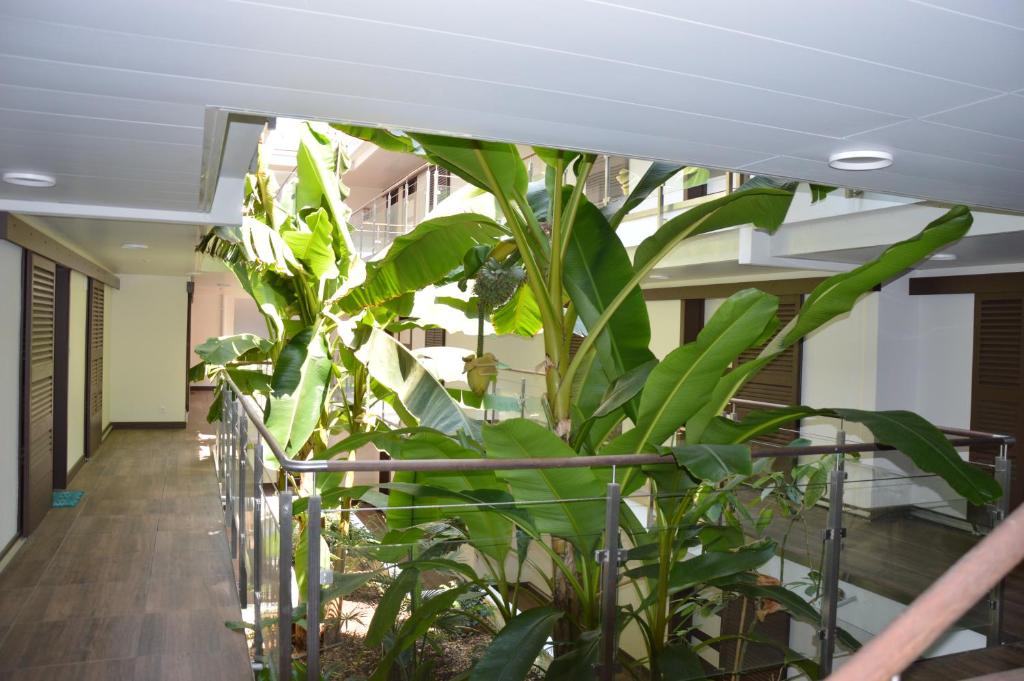 Studio ZenAzur - 5