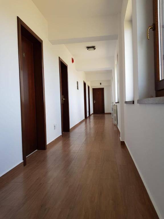 Pensiunea Coralia photo