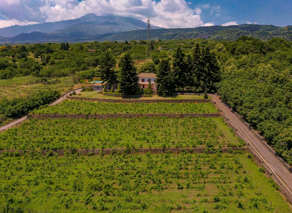 Le Vignoble Charming Maison - 4