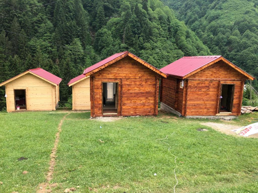 Ayder Selale Apart photo