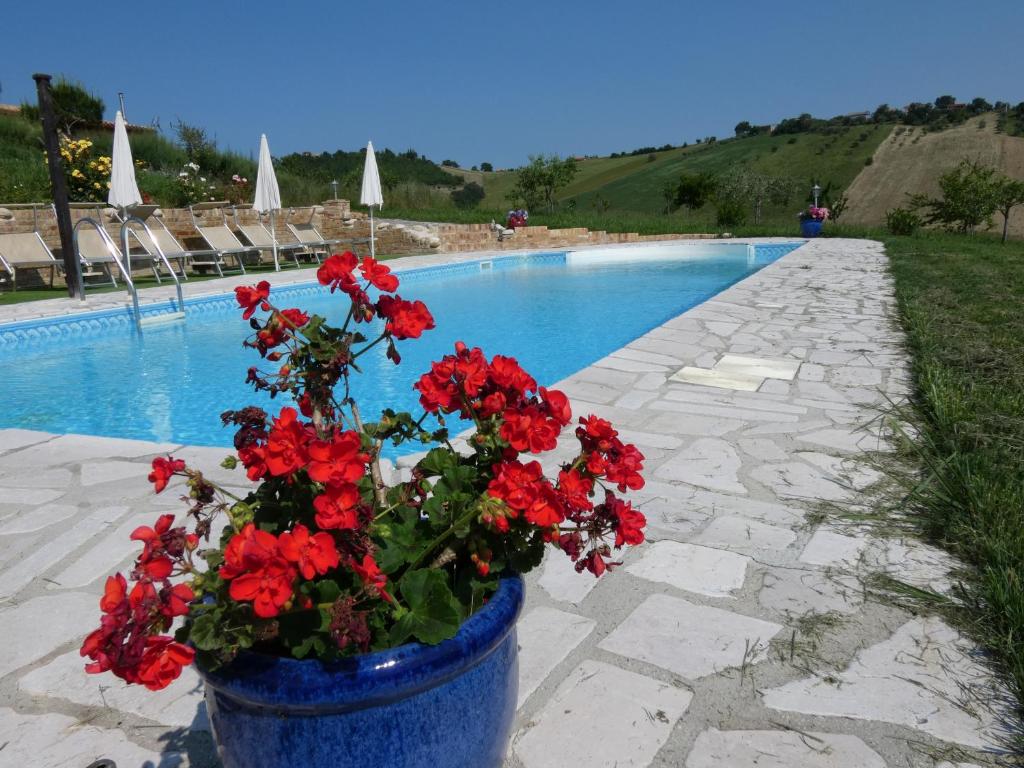 Il Frutteto Bed and Breakfast photo
