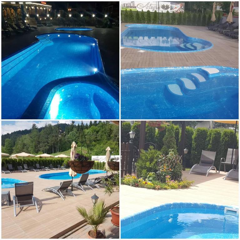 Hotel Alegra photo