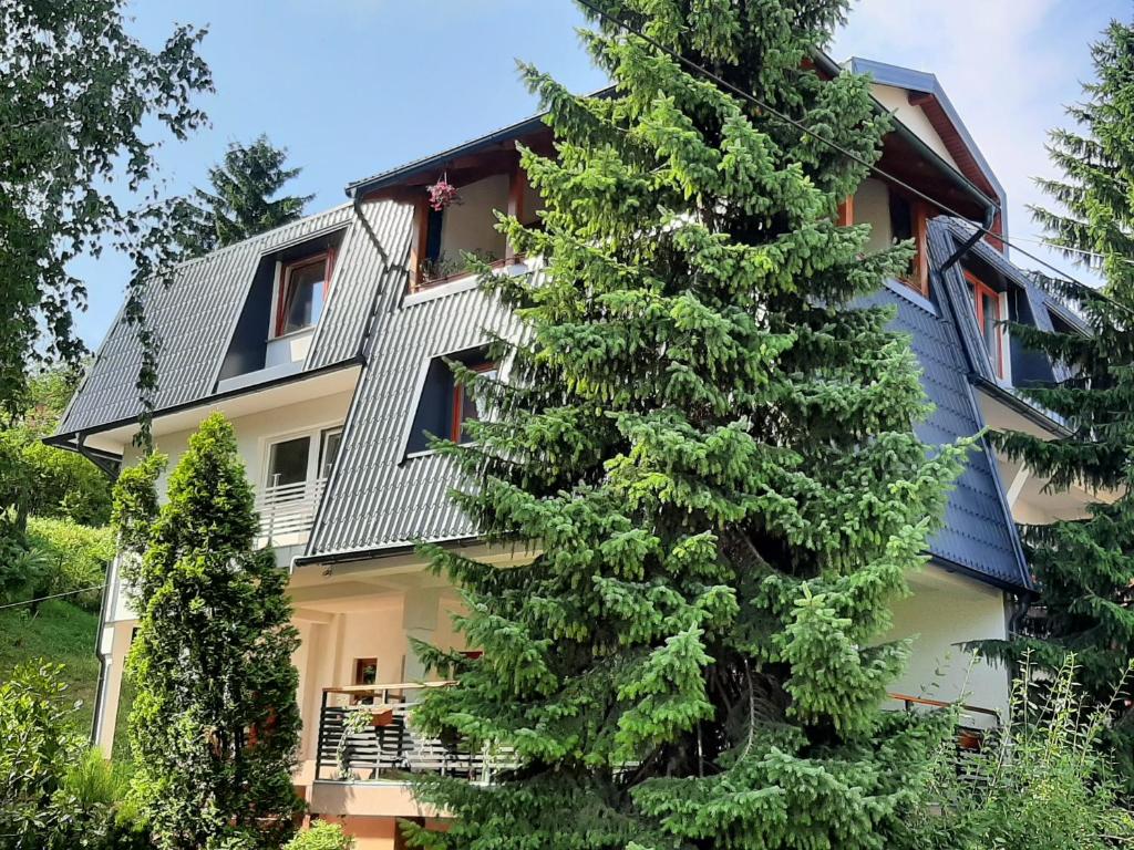 Guesthouse Hill - 4