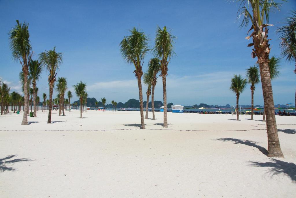 周辺観光スポット