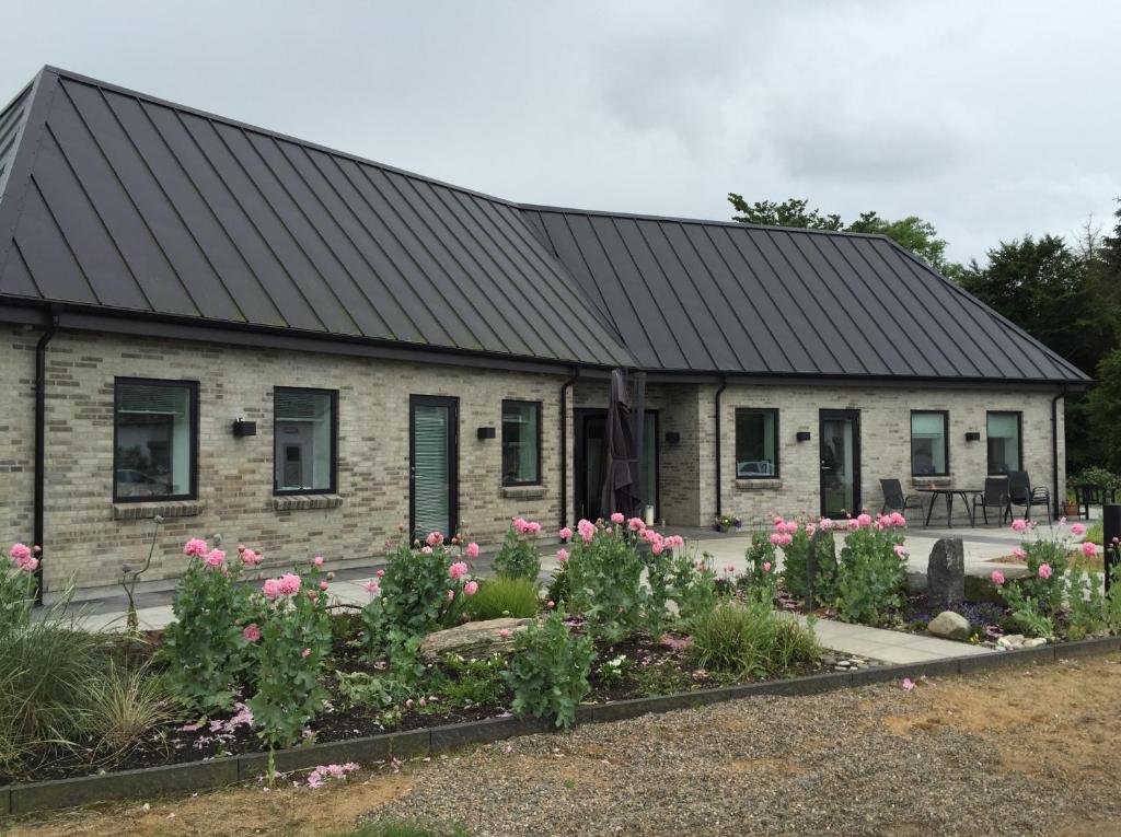 Bulbjerguld BB, Frøstrup