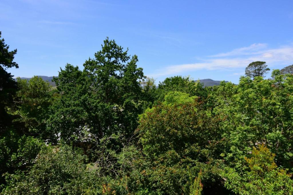 Cloudsong Chalet 3 - Close to the village centre! photo