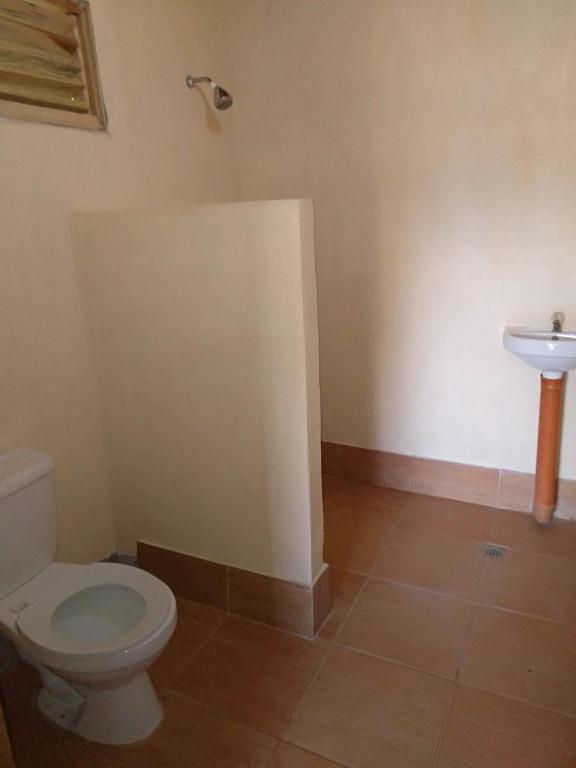 Gold Star Inn photo
