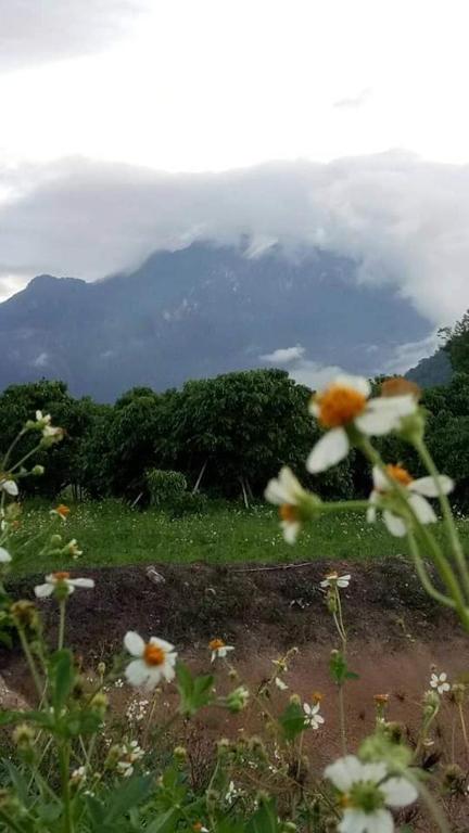 Ban Thung Talay Mok Chiang Dao photo