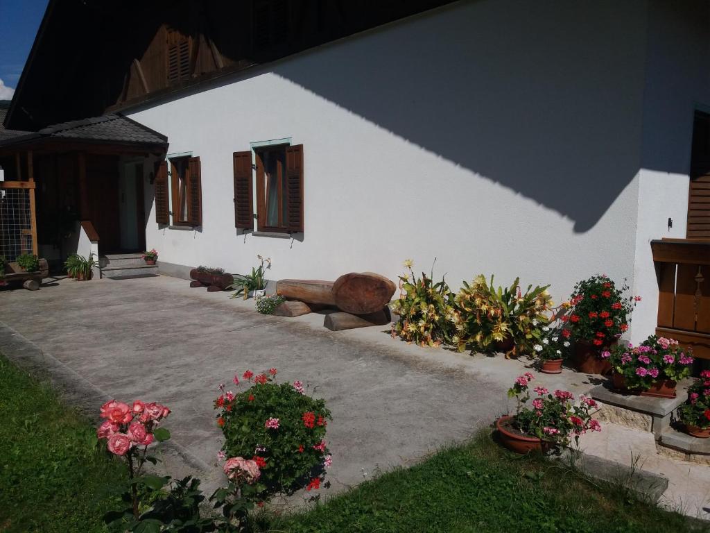Appartamento Cologna - 5