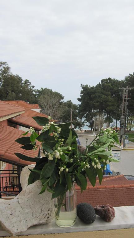 Mandola Del Mare, Skála Kefalonia