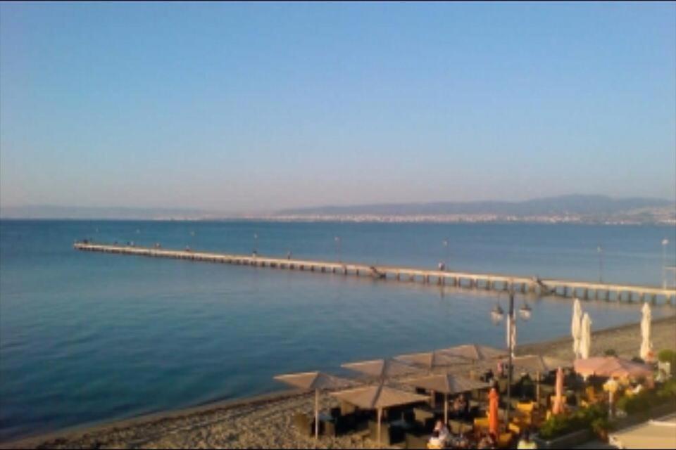 Ảnh 5