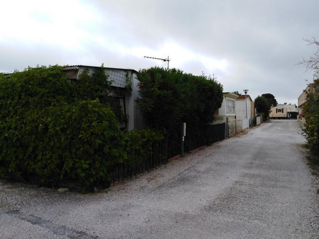 Parcelle à Vendre Dans Camping Pavillon Sigean