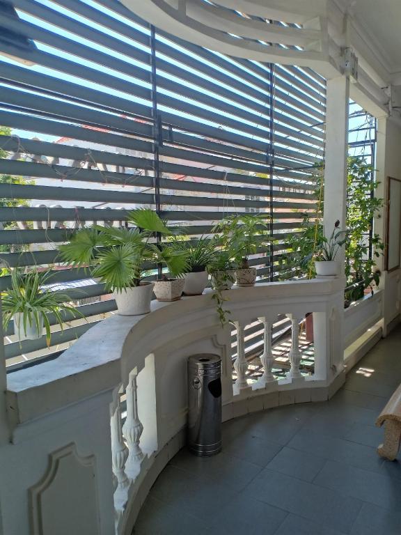 Facilities, Blue Sea 2 Hotel Nha Trang in Nha Trang