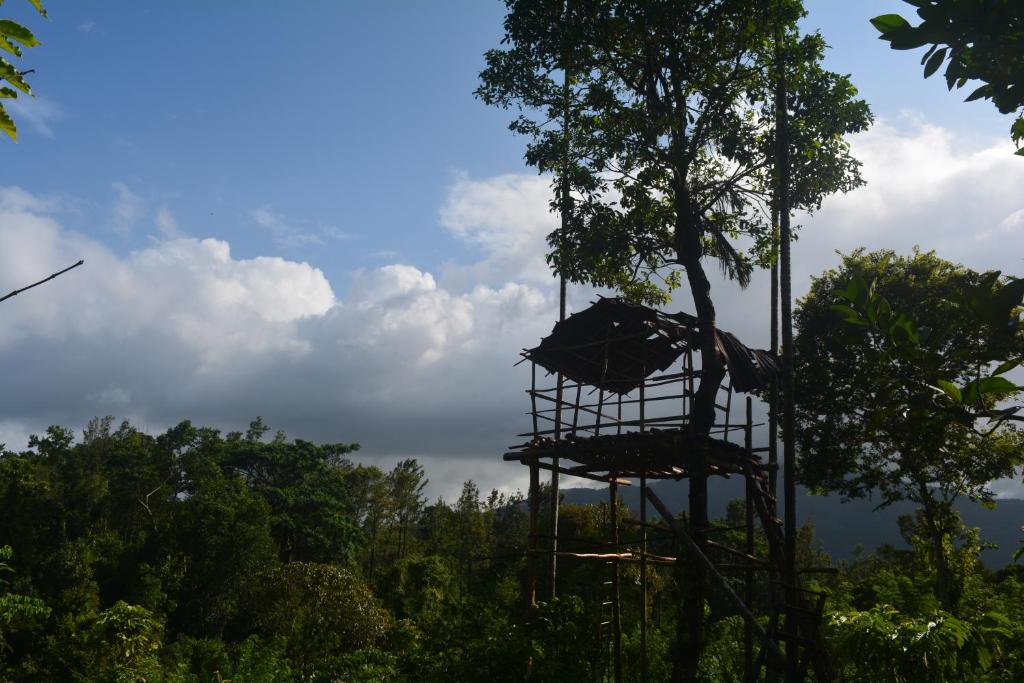 Stream Garden Mountain Resort photo