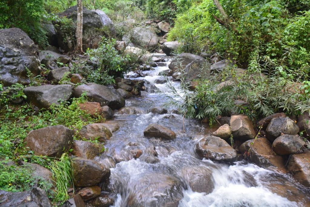 Stream Garden Mountain Resort — Hotel in Wayanad