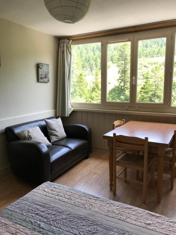 RÉSID BEC DE L AIGLE Studio 22 - LE LIORAN, Laveissière