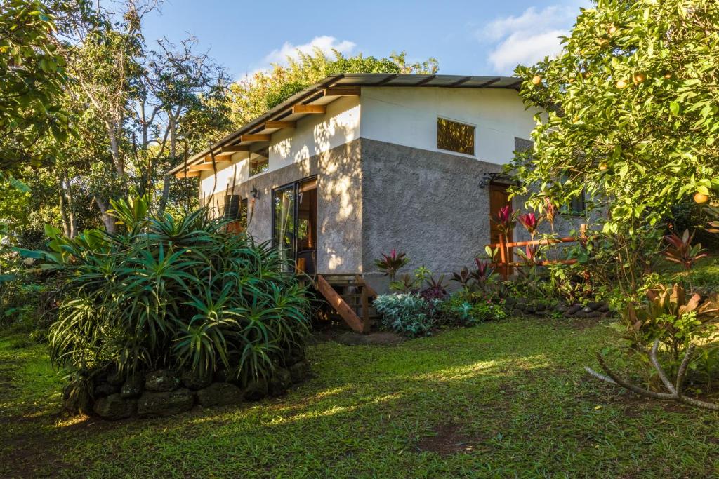 Cabana Vaenga Miro photo