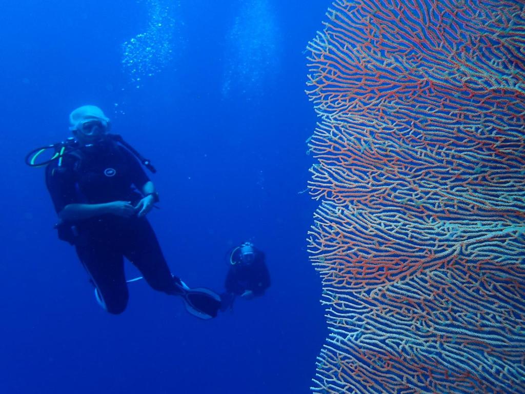 Olahraga dan Aktivitas