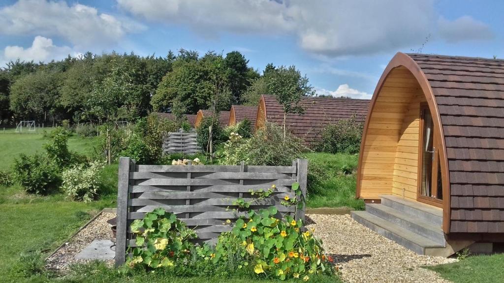 Lupin Glamping Pod photo