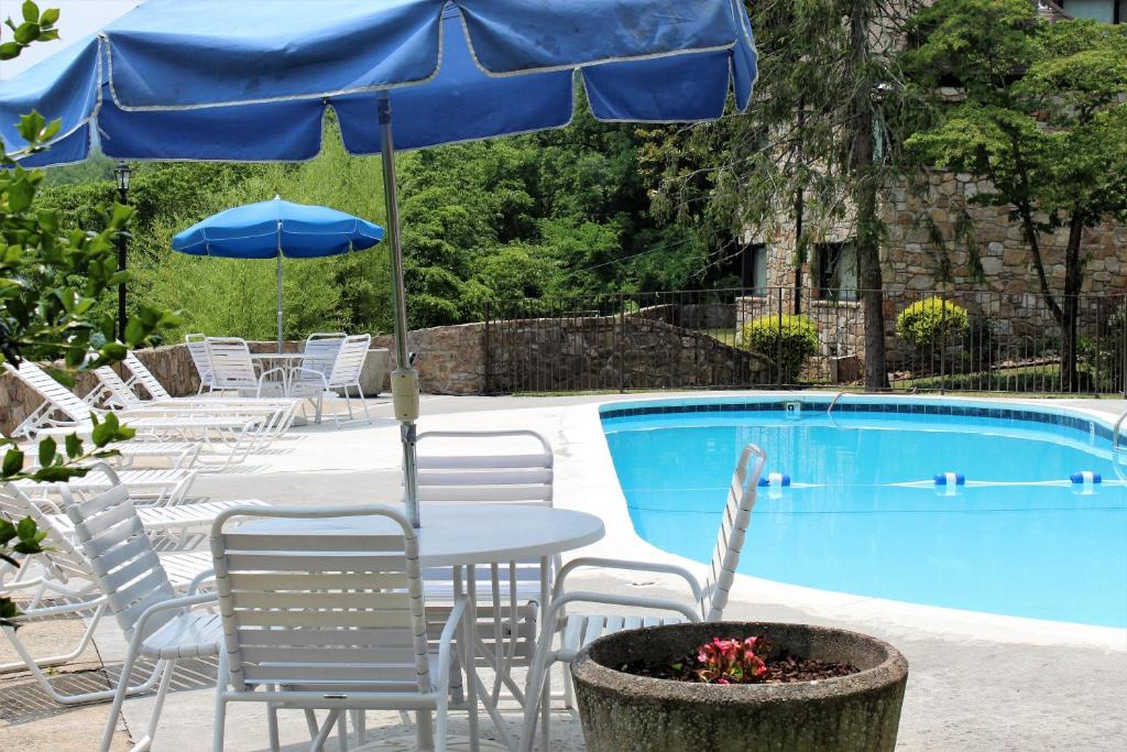 Chalet Inn photo