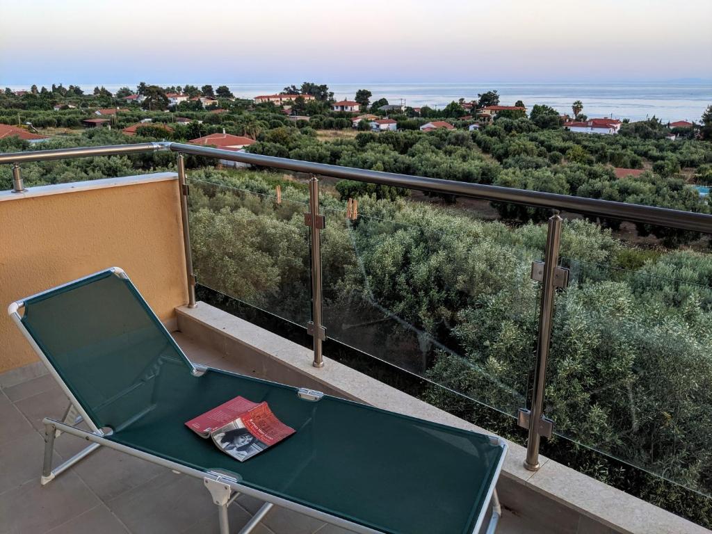 Herodicus villa photo