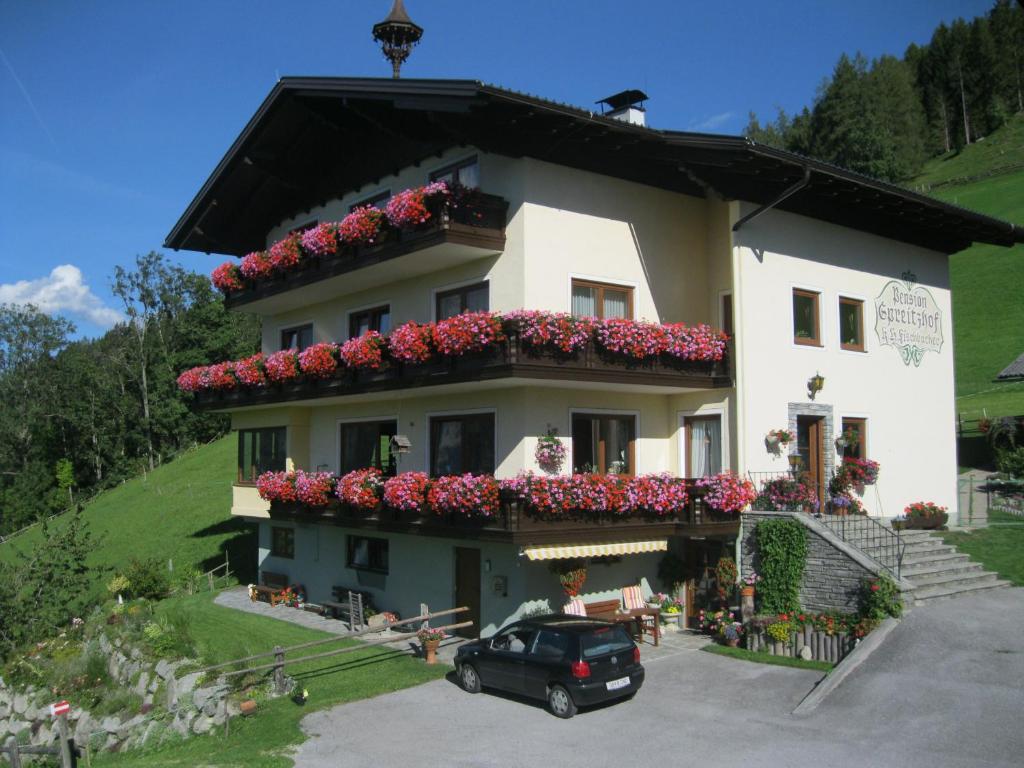 Pension Spreitzhof & Appartement Royer - 1
