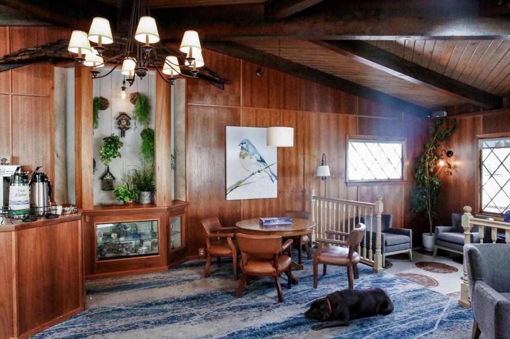 Bluebird Inn photo