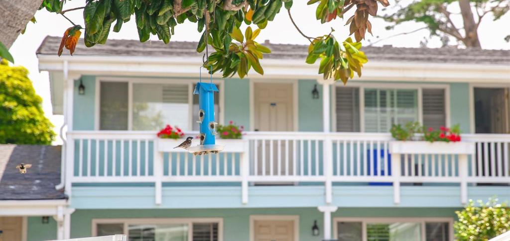 Bluebird Inn photo