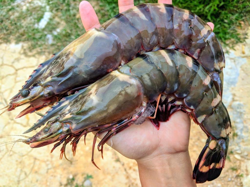 อาหารและเครื่องดื่ม