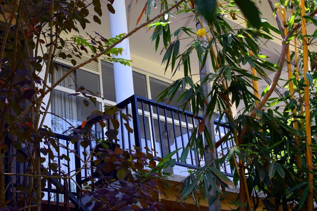 Raveena Guest House photo