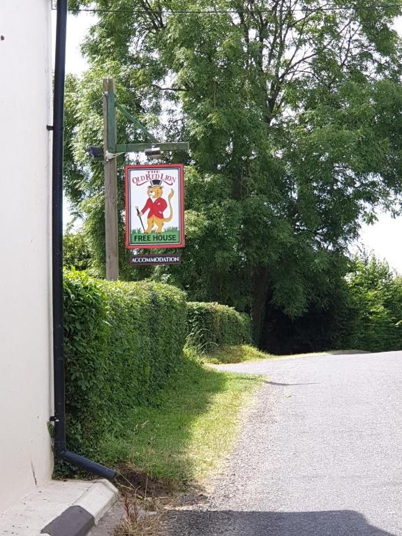 the old red lion, Bruton