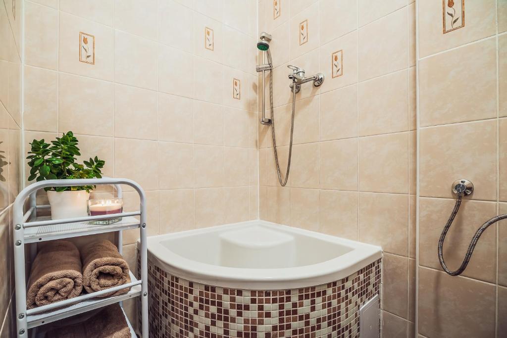 Skodova Apartments photo