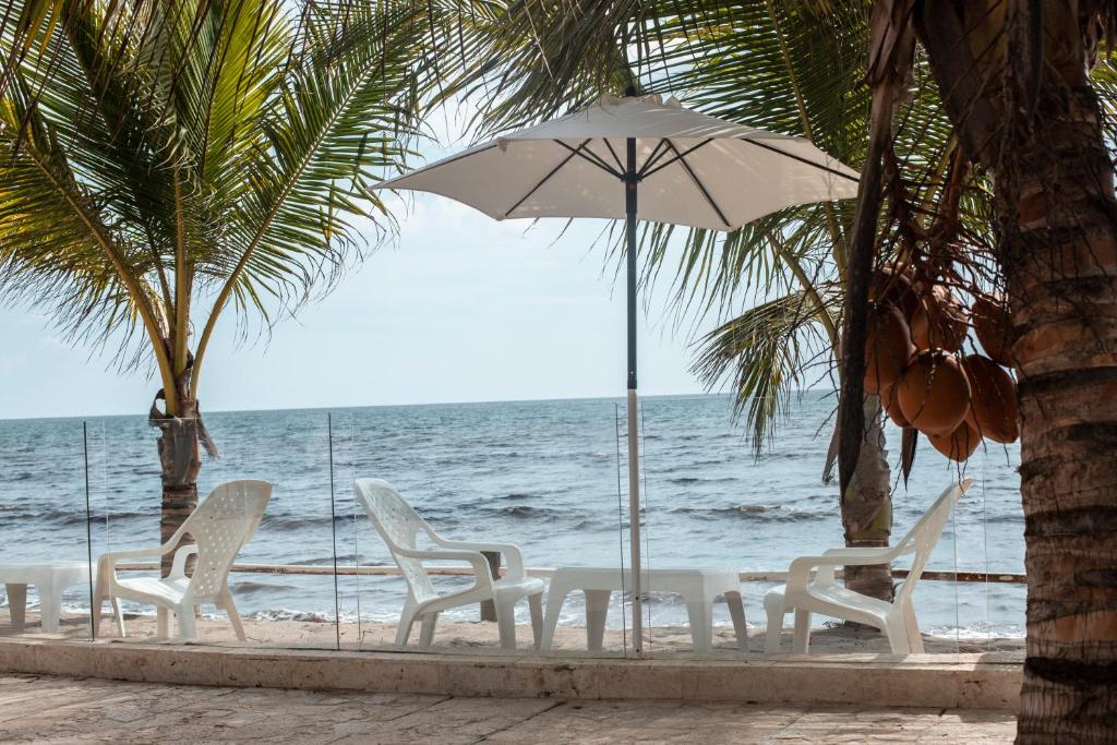 Hotel Casa Danae photo