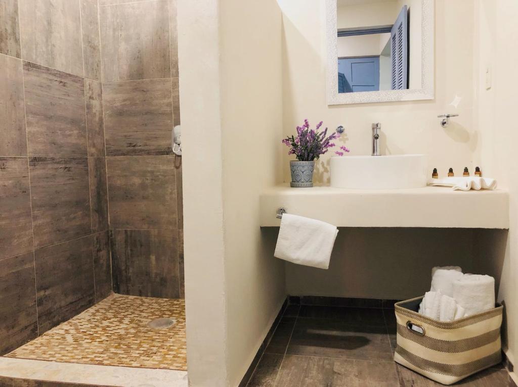 Hotel Boutique Villa Balu photo
