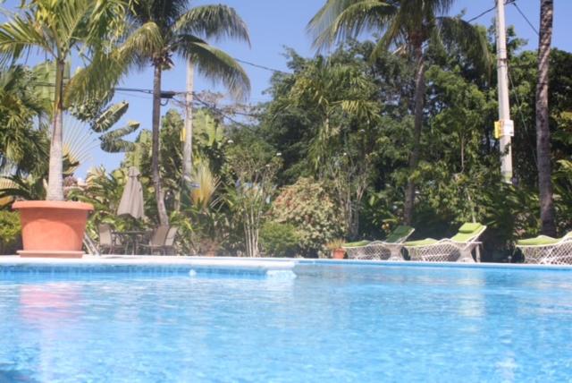 Hotel Magic Tropical photo