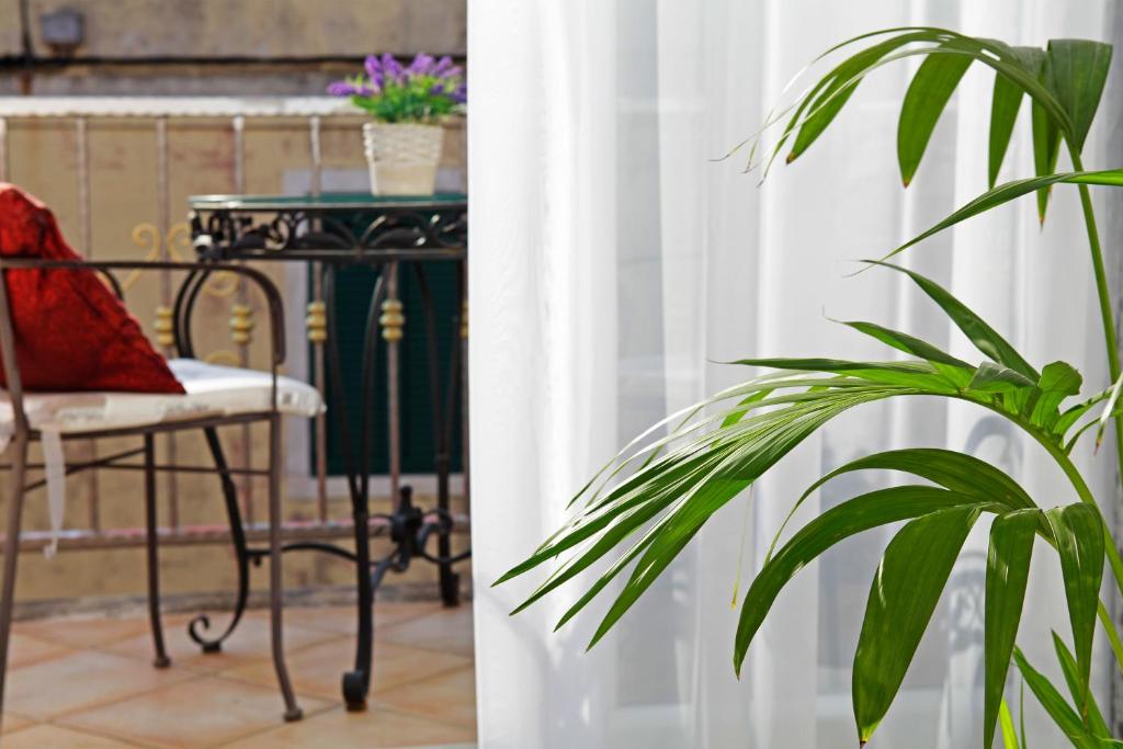 Apartment Ambroz photo