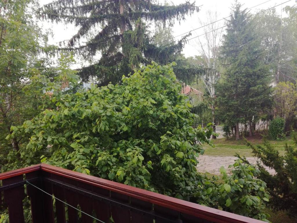 Apartman Vera - 2