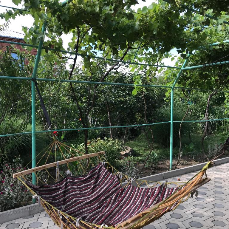 Guesthouse TEA photo