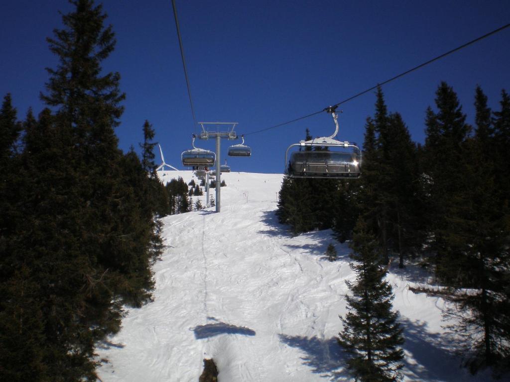 Almrauschhütte Markus - 3