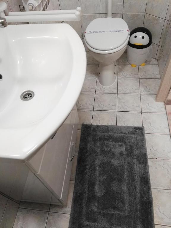 Apartmani Janjic photo