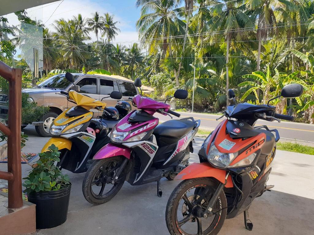 กิจกรรม