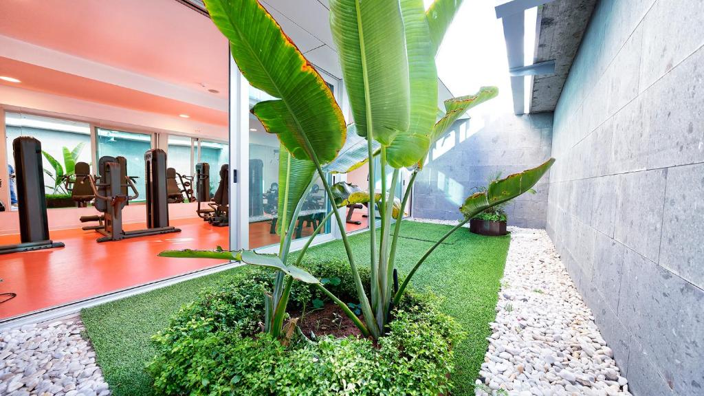 Hotel Nayra - Adults Only — Hotel building in Playa del Ingles, Canary Islands
