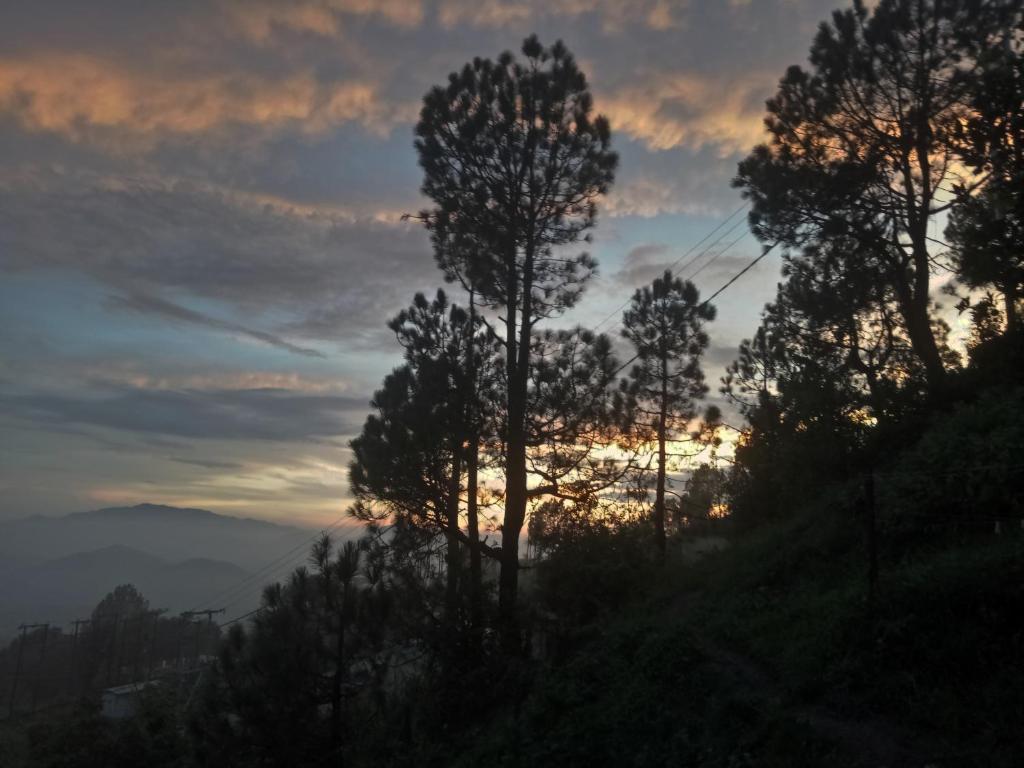 Royal's Home Stay — Hotel in Lansdowne