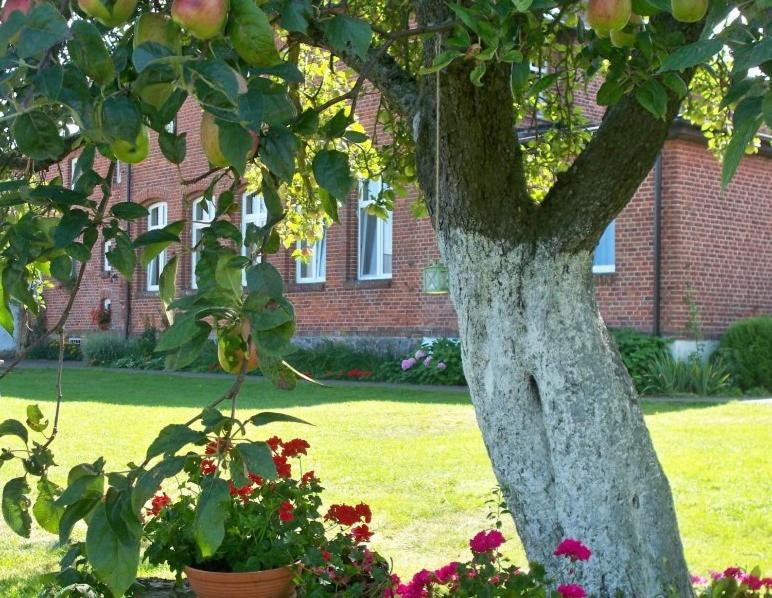 Pod Jabłonią, Ustronie Morskie