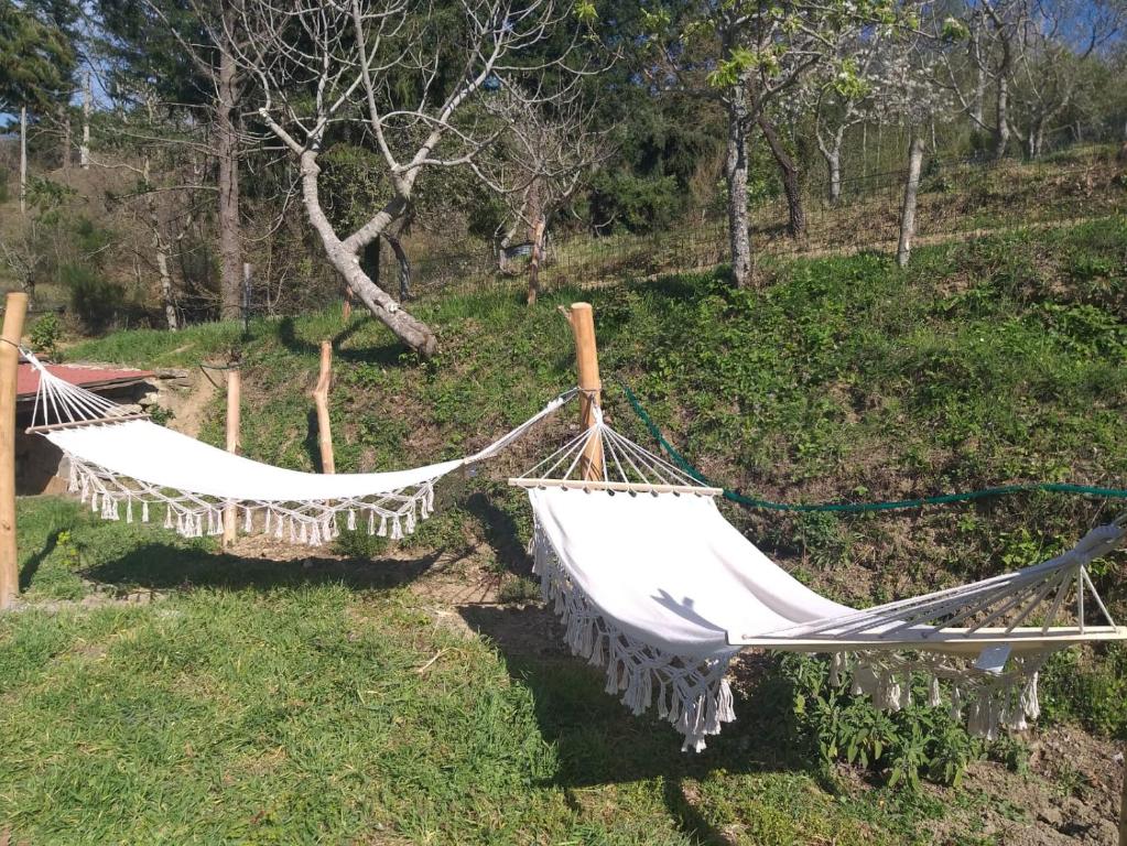 BORGO VERDE - 4