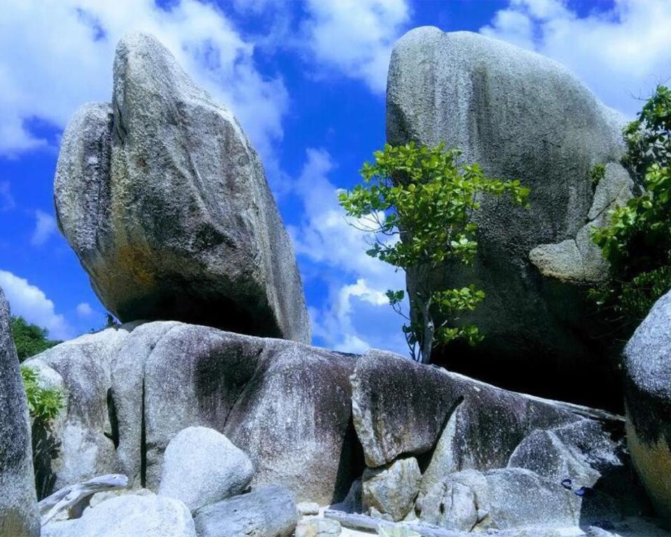 Surrounding environment