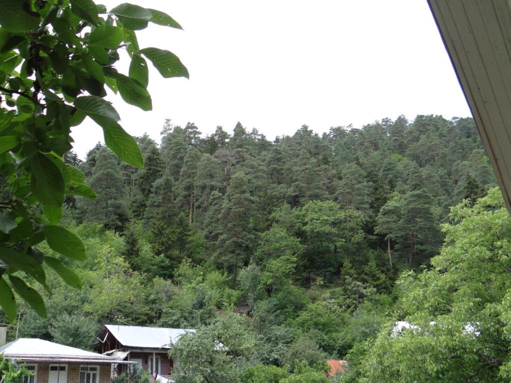 Dalko photo